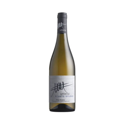 ETNA BIANCO DOC 2020 PIANTE SPARSE - AYUNTA