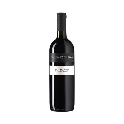 VINO ROSSO 2022 SAN MARTIN SANTA PAZIENZA - DI LENARDO