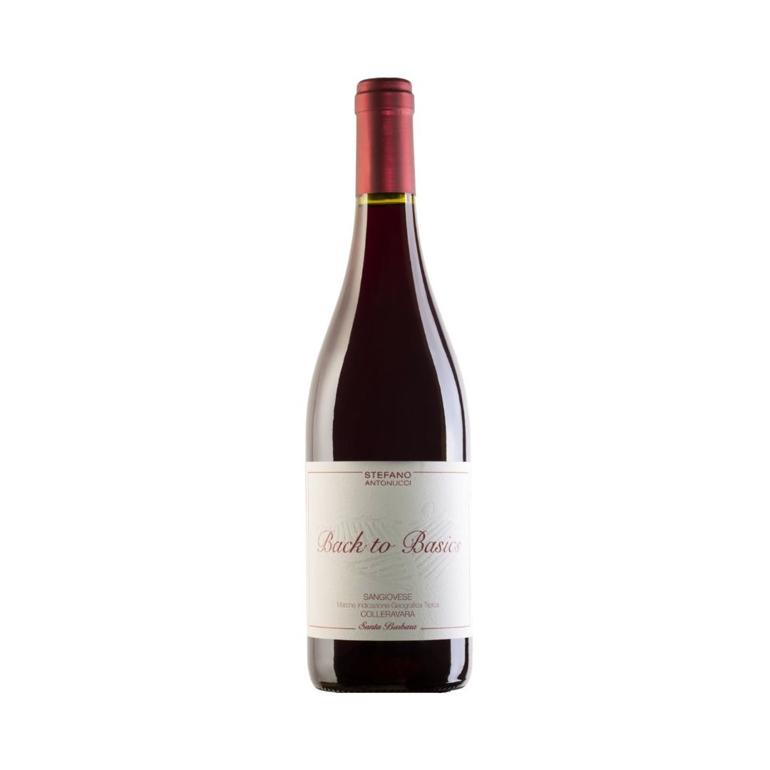 SANGIOVESE MARCHE IGT 2021 COLLERAVARA BACK TO BASICS - SANTA BARBARA