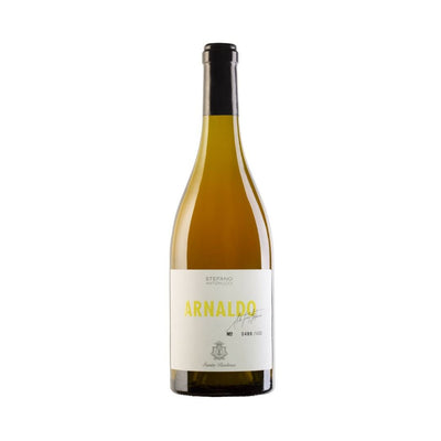 VERDICCHIO DEI CASTELLI DI JESI DOC 2020 ARNALDO - SANTA BARBARA