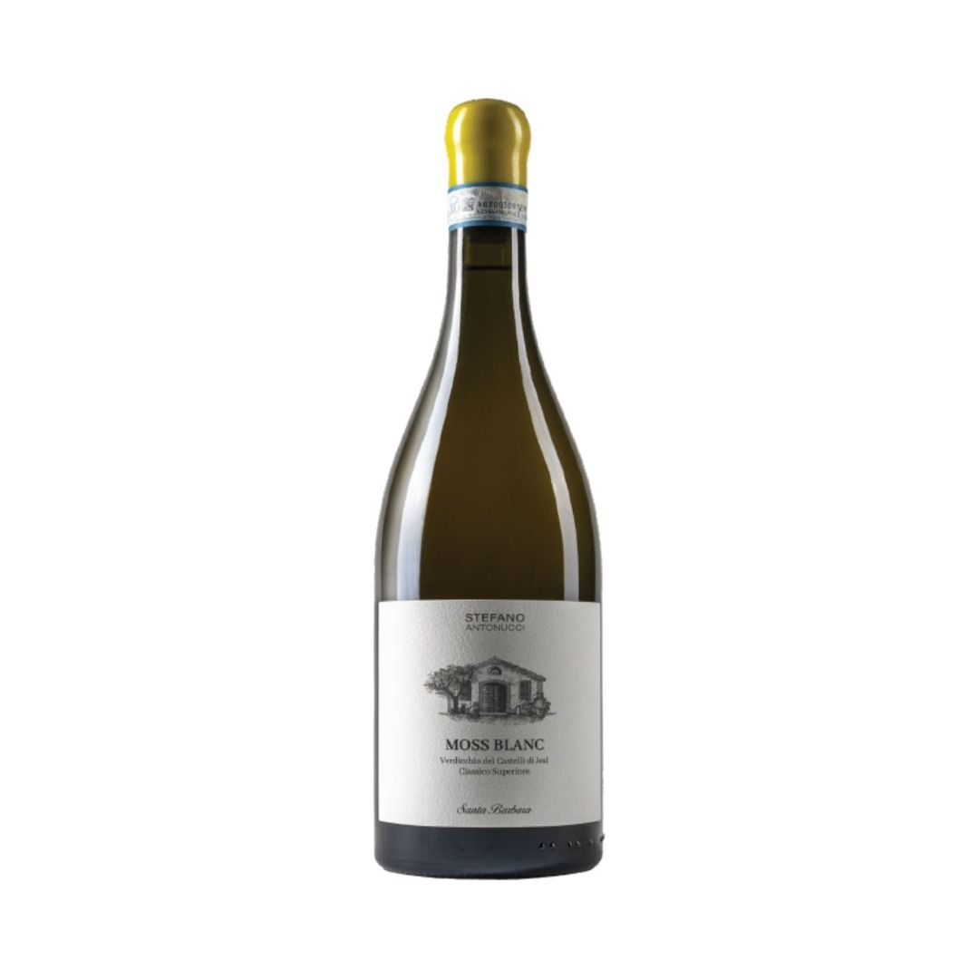 VERDICCHIO DEI CASTELLI DI JESI CLASSICO SUPERIORE DOC 2020 MOSS BLANC - SANTA BARBARA