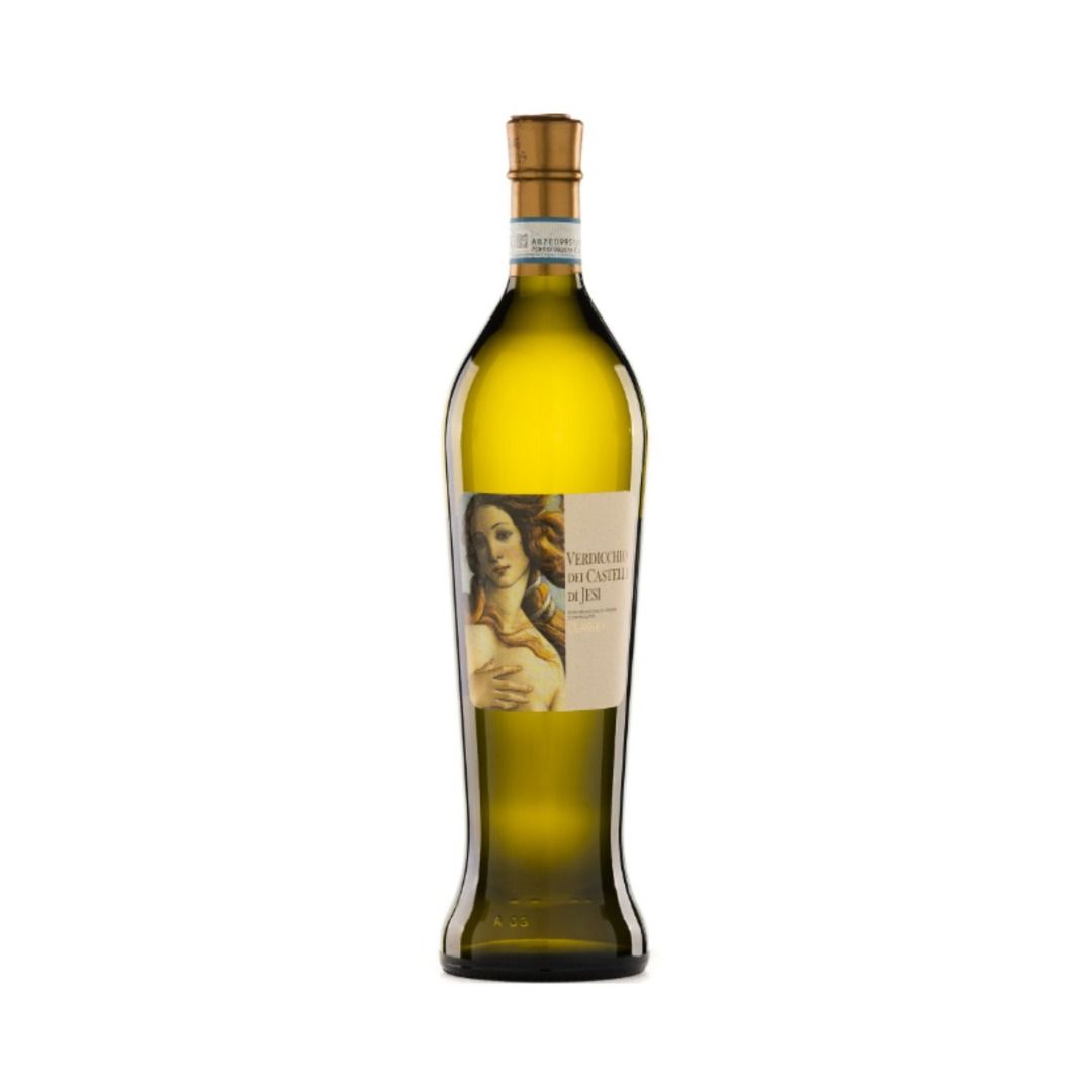 VERDICCHIO DEI CASTELLI DI JESI CLASSICO DOC 2023 VENERE - PIERSANTI (ANFORA)