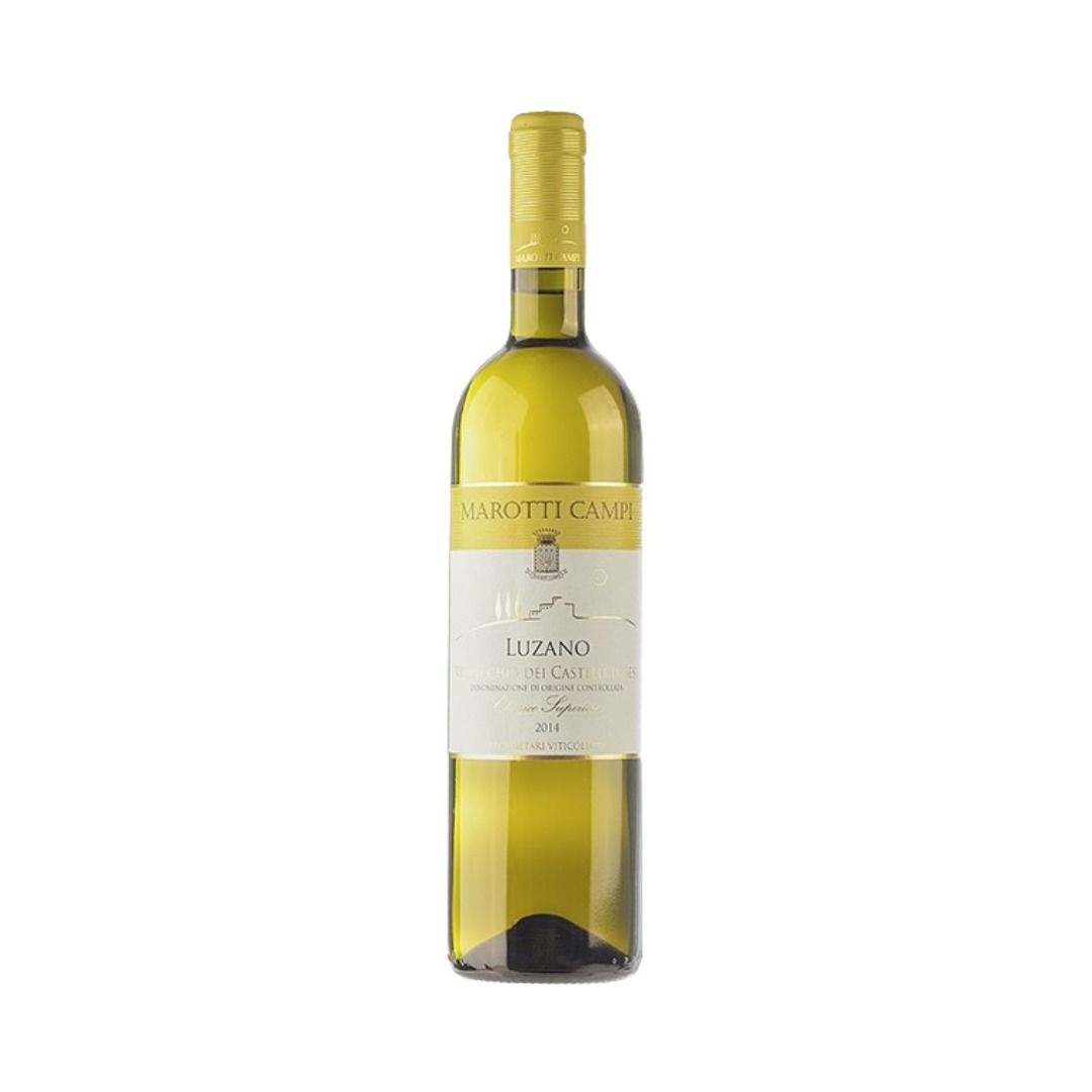 VERDICCHIO DEI CASTELLI DI JESI CLASSICO SUPERIORE DOC 2023 LUZANO - MAROTTI CAMPI